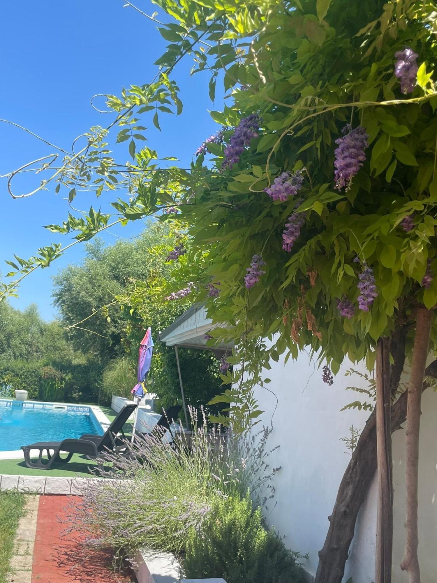 Kuca Magnolia